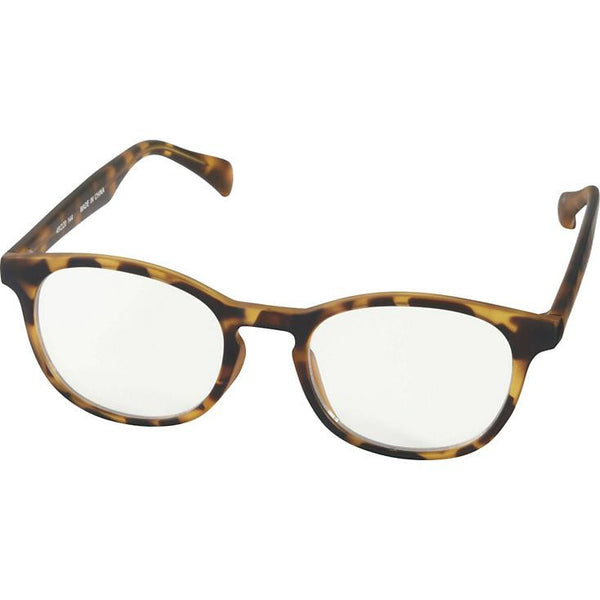 Men Boston clear sunglasses